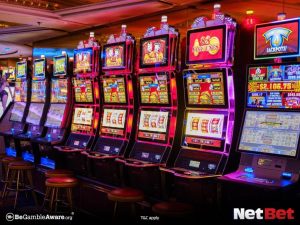 tyleaopg|Bingo Online com Saque Garantido – Cadastre-se Grátis